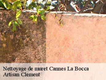 Nettoyage de muret  cannes-la-bocca-06150 Artisan Clement