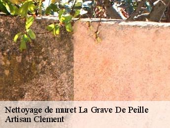 Nettoyage de muret  la-grave-de-peille-06440 Artisan Clement